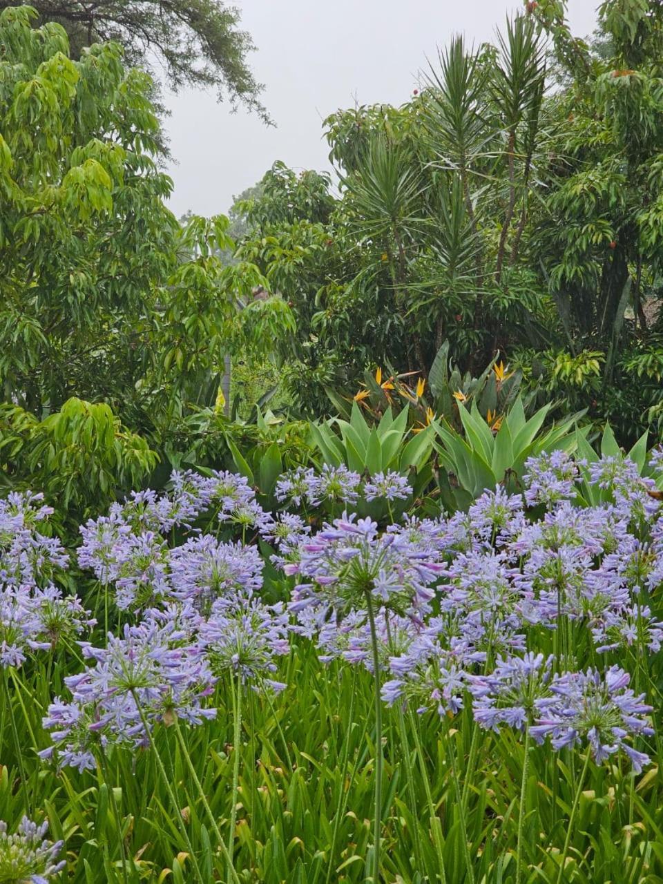 Tzaneen White House Lodge Eksteriør bilde